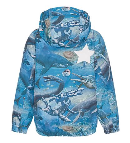 Molo Regenjacke - Waiton - BIG Ancient Sea