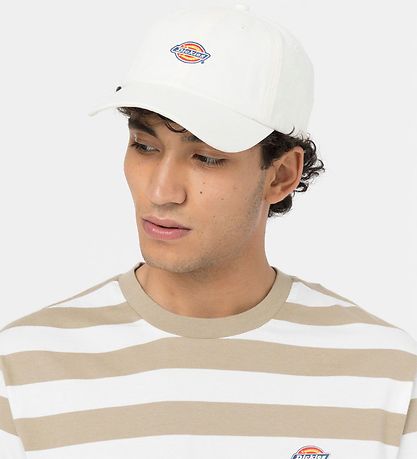 Dickies Cap - Hardwick - Cloud