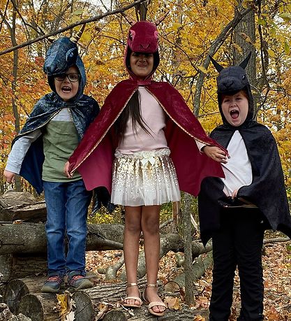 Great Pretenders Costumes - Cape - Starry Night Dragon