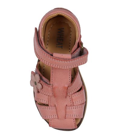Wheat Sandalar - Himinn - Rose