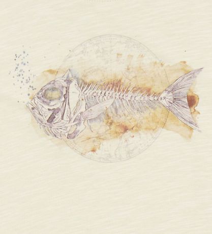 Wheat T-paita - Fishskeleton - liitu