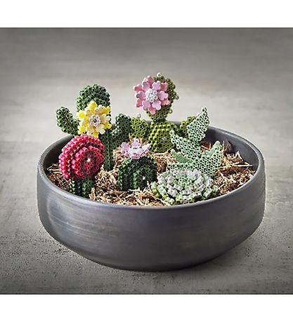 Hama Midi Species - 6000 pcs - Succulents