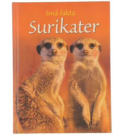 Gads Forlag Book - Little facts - Meerkats - Danish