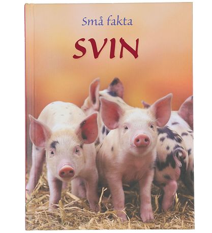 Livre Gads Forlag - Petits faits - Cochons - Danois