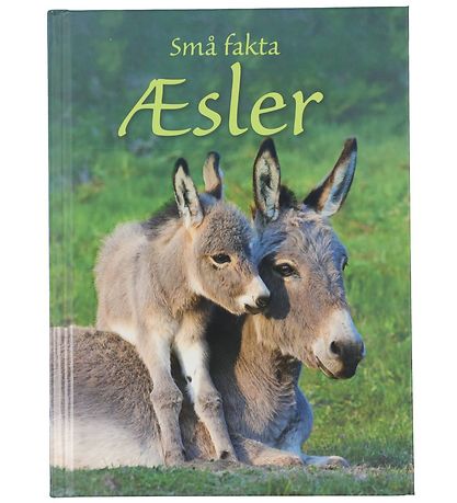 Gads Forlag Book - Small facts - Donkeys - Danish