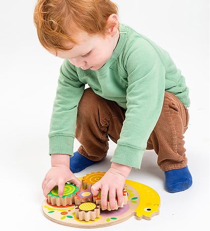 Tender Leaf Wooden Toy - Activity snail - 7 Parts