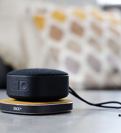 SACKit Loudspeaker - Go 250 - Portable Bluetooth Speaker
