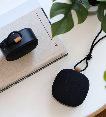 SACKit Loudspeaker - Go 250 - Portable Bluetooth Speaker