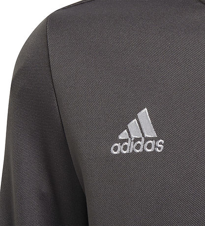 adidas Performance Bluse - ENT22 TR TOPY - Grau/Weiß