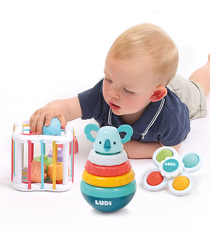 Ludi Activity Toy - Shape Sorter w. Accessories