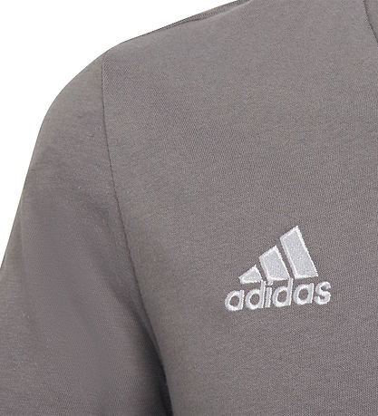 adidas Performance Stuttermabolur - Ent22 Tee Y - Grátt/Hvítt