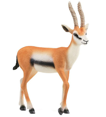 Schleich Wild Life - Gazelle - H : 9,7 cm - 14861