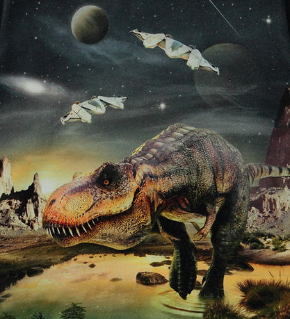 Blouse Molo - Pneu - Rex Planète