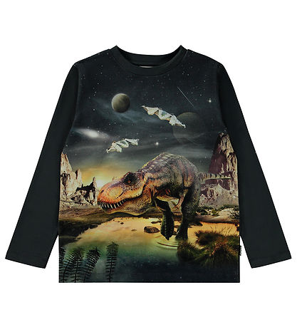 Blouse Molo - Pneu - Rex Planète