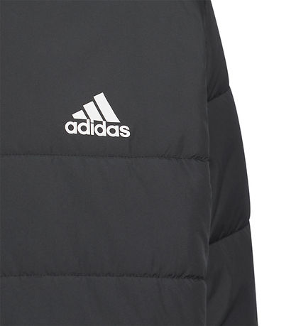adidas Performance Vadderad jacka - JK Pad JKT - Svart