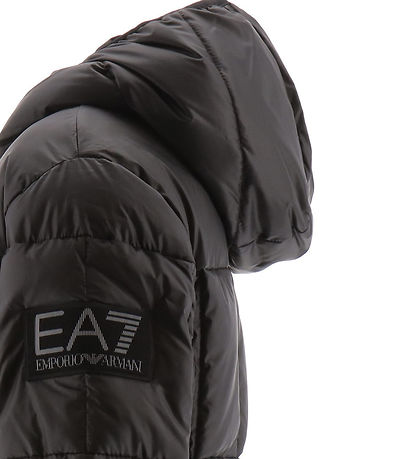 EA7 Vadderad jacka - Svart