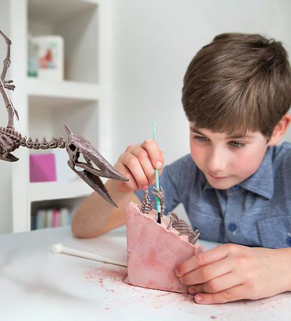 4M KidzLabs - Utgrävning Pteranodon