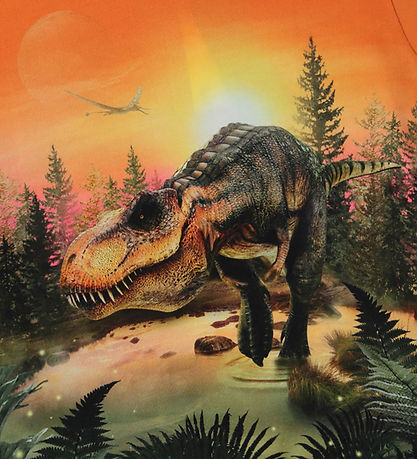 Molo Stuttermabolur - Riley - Dino Lake