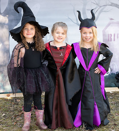 Great Pretenders Costume - Skirt & Cloak - Cobweb