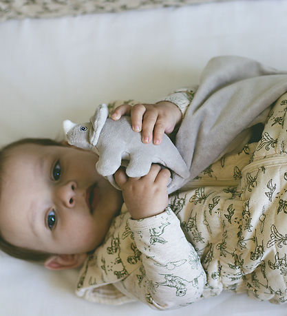 That's Mine Sleeping Bag - Agnes - Dino Esta