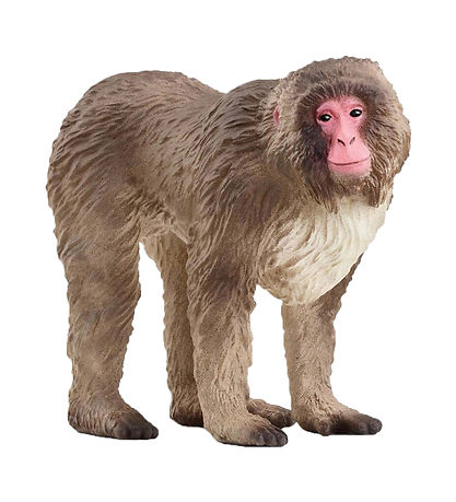 Schleich Wild Life - Japansk makak-Api - H: 6,9 cm - 14871