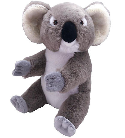 Wild republic koala new arrivals