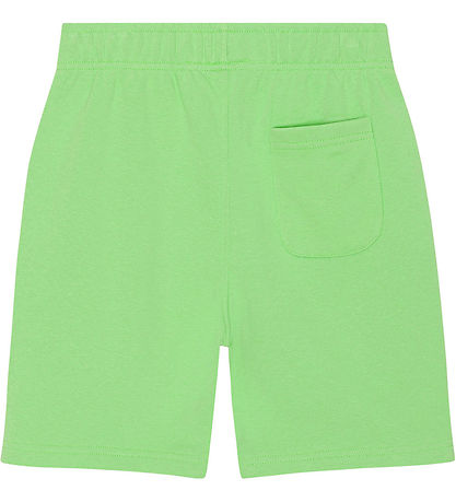Molo Collegeshortsit - Adian - ruoho Green