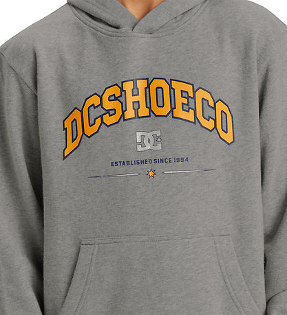 DC Shoes Hoodie - Orientation PH - Grey