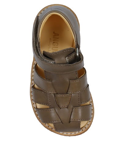 Angulus Sandals - Beginner - Taupe