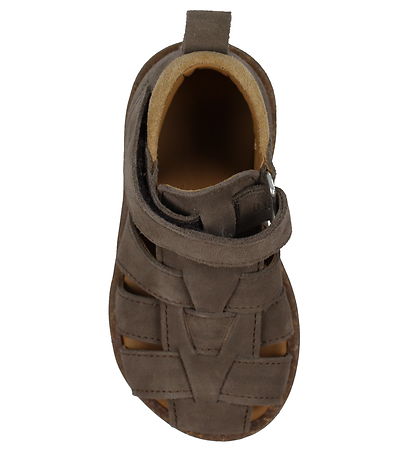 Angulus Sandalar - Byrjandi - Dark Taupe/Camel