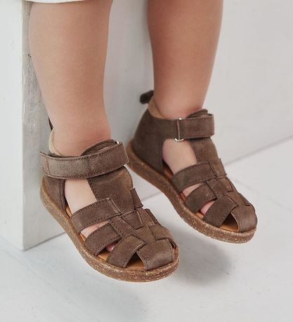 Angulus Sandalar - Byrjandi - Dark Taupe/Camel