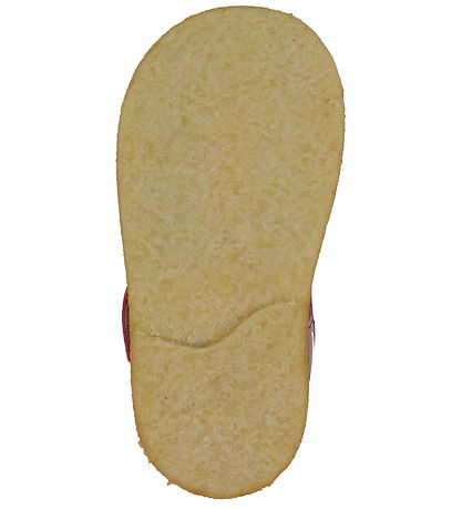 Angulus Sandalar - Byrjandi - Ed