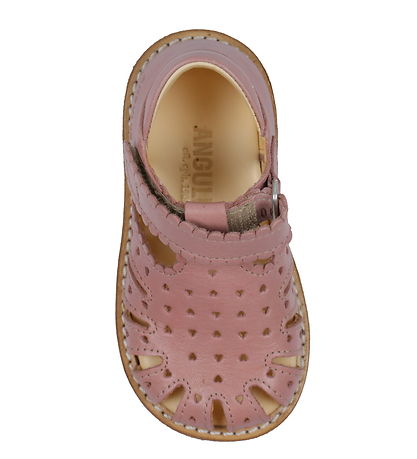 Angulus Sandal - Beginner - Rose