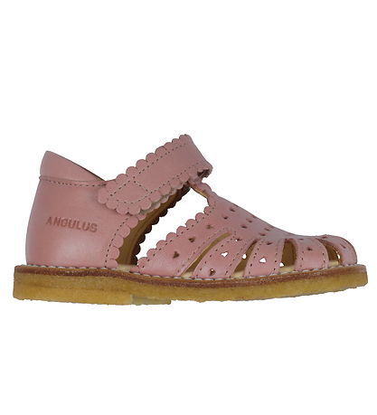 Angulus Sandal - Beginner - Rose