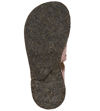 Angulus Sandalar - Pale Rose