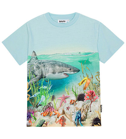 Molo Stuttermabolur - Roxo - Shore Life