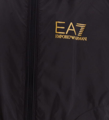 EA7 Jacket - Black w. Gold