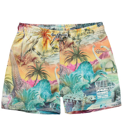Molo Badshorts - UV50+ - Niko - Dino Paradis