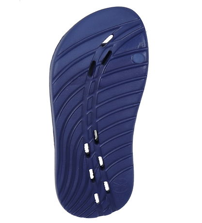 Speedo Flip Flops - Navy/White