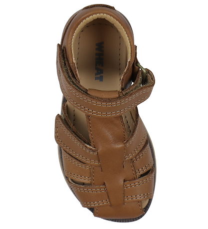 Wheat Sandals - Sky - Cognac