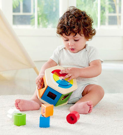 Hape Colour and Form Sorting box - 7 Parts