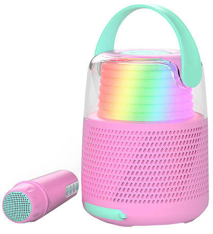 Mobility on Board Speaker w. Microphone - Karaoke - Rose