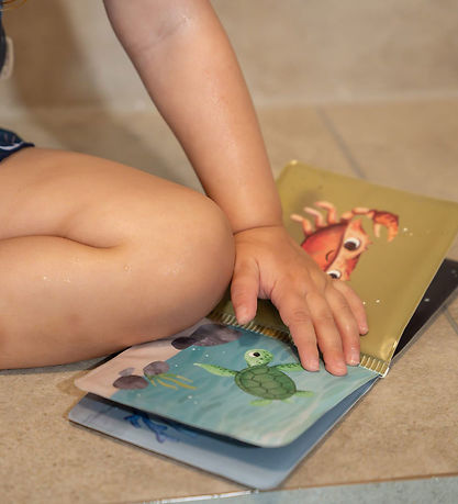 Filibabba Bath Book