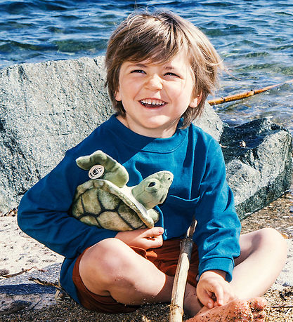 Bon Ton Toys Soft Toy - 18 cm - WWF - Turtle