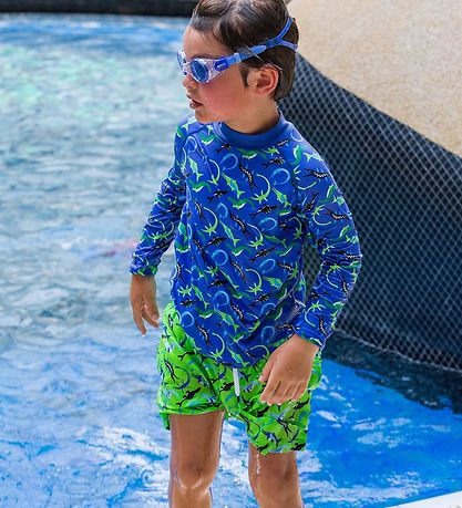 BECO Swim Top - Ocean Dinos - Blue