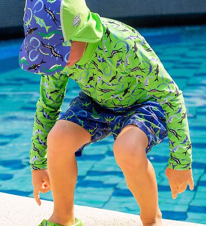 BECO Swim Trunks - Ocean Dinos - Blue