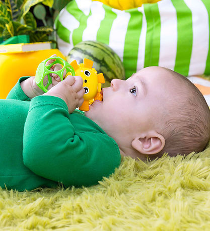 Bright Starts Activity Toy - Oball-Teether 2-Pack
