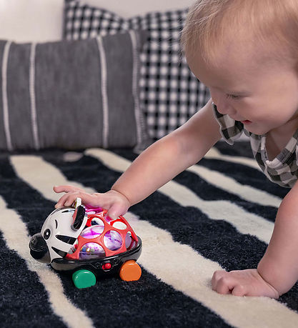 Baby Einstein Motorikspielzeug - Zen Oball Fahrzeug