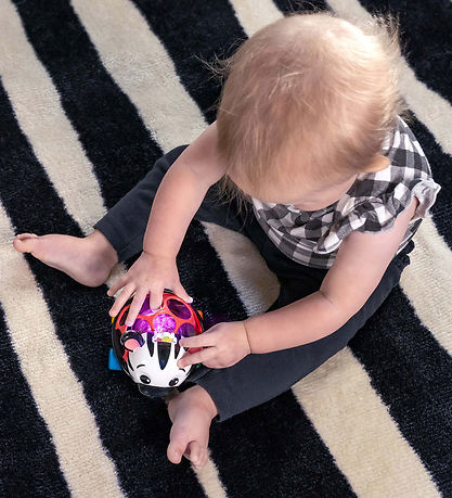 Baby Einstein Activity Toy - Zen Oball Vehicle