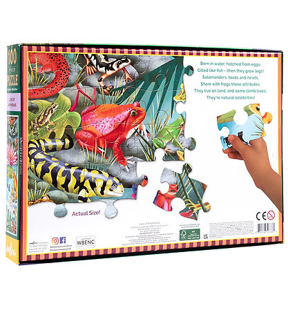 Eeboo Púsluspil - 100 Kubbar - 40,6x61 cm - Froskdýr
